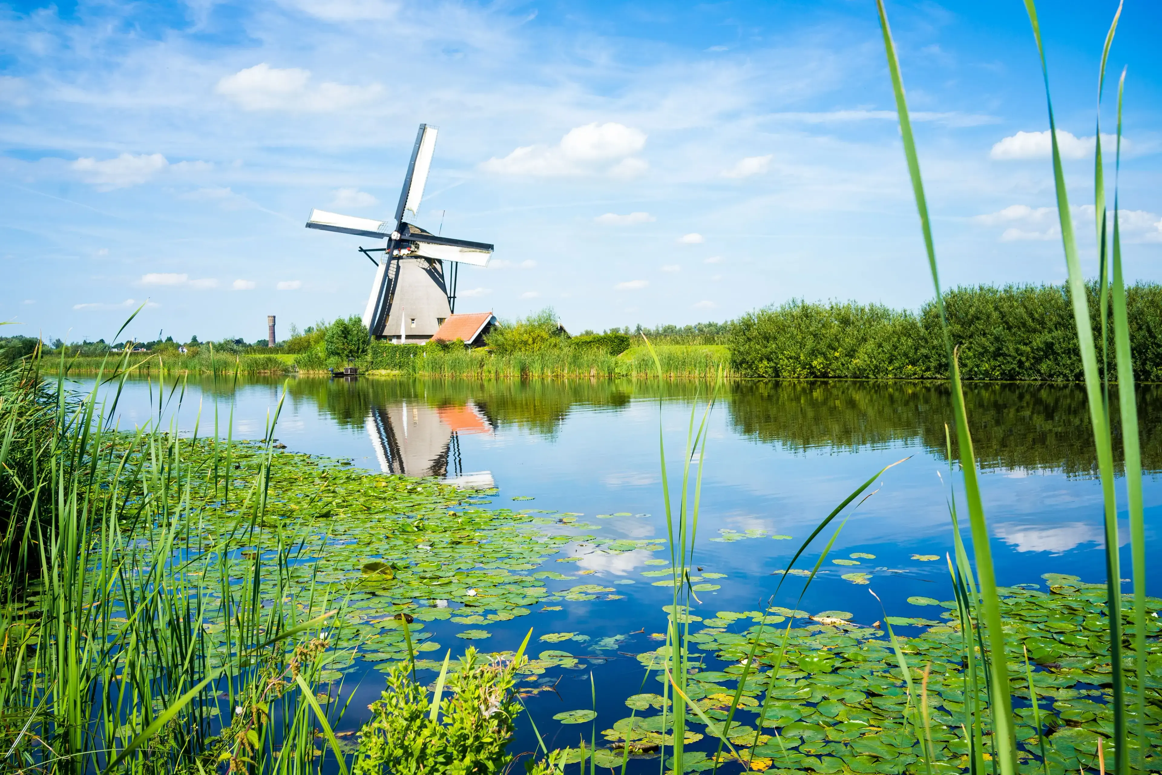 Netherlands