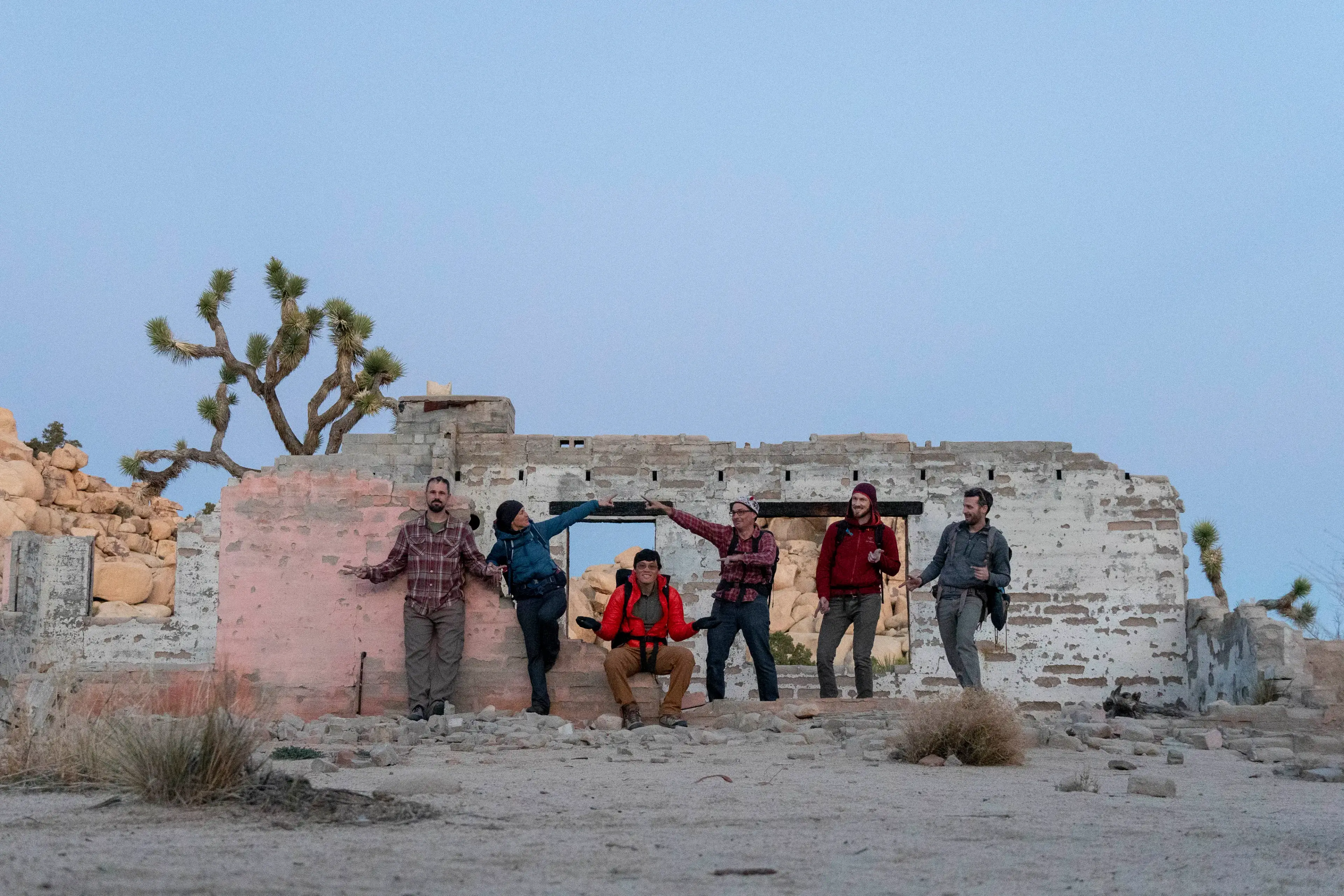 Joshua Tree