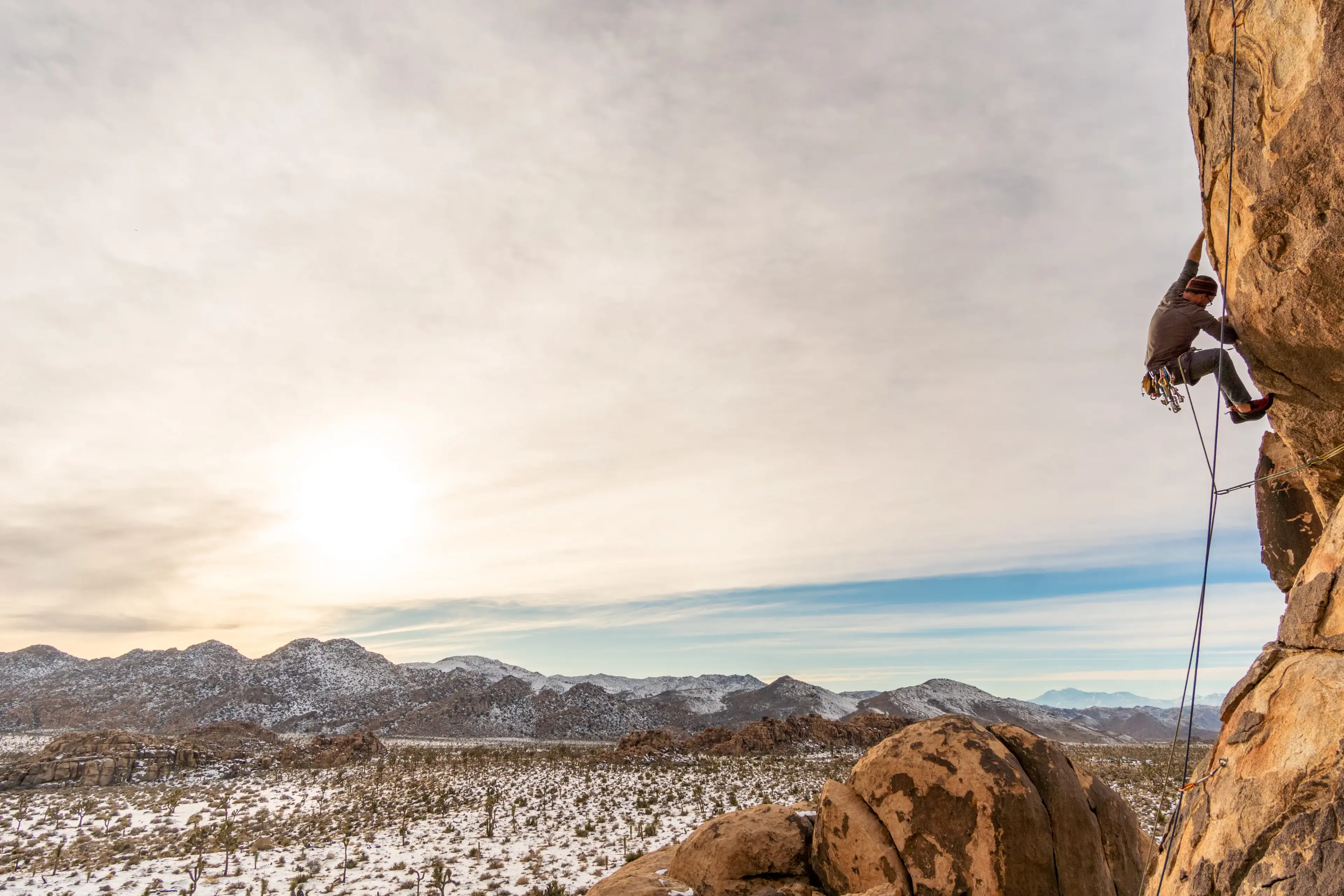 Joshua Tree